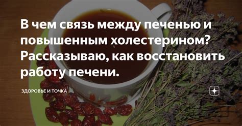 Связь между повышенным содержанием липидов в крови и развитием сердечно-сосудистых заболеваний