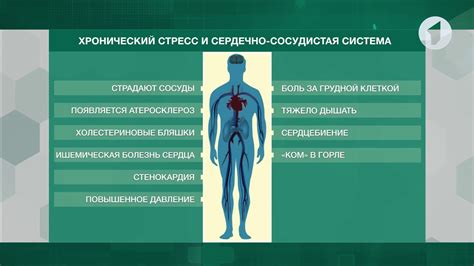 Связь между стрессом и определенными заболеваниями