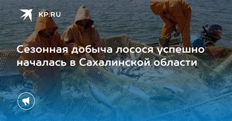 Сезонная добыча и продолжительность урожая Валуи