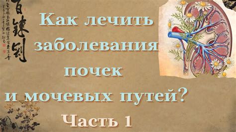 Сезонность поиска сокровищ на границе: наилучшее время года для искателей приключений