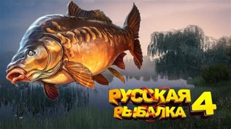 Сезонные особенности улова в игре "Русская рыбалка 4"