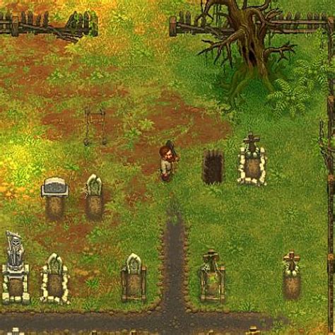 Секретные местоположения редких виноградных сортов в Graveyard Keeper