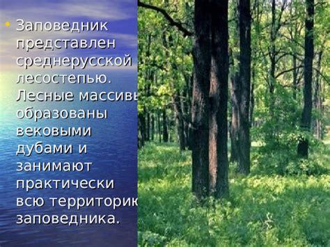 Секретные рощи и лесные массивы