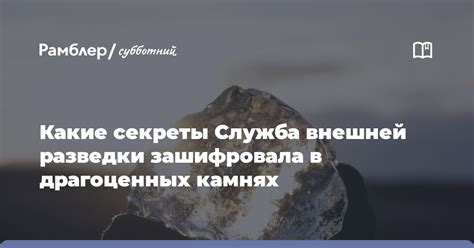 Секреты оптимальной холодильной хранения драгоценных кедровых ядер