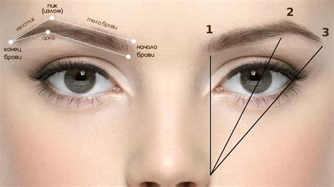 Секреты поддержания несравненной формы и точного расположения начала брови