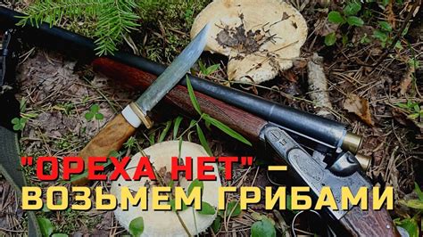 Секреты результативной охоты на грибы: обязательный инвентарь