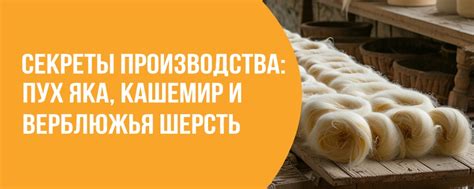 Секреты сохранения безупречного качества при долгосрочном хранении богатырских блинов