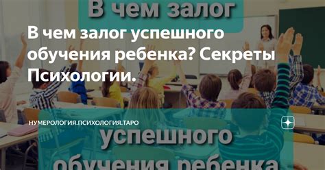 Секреты успешного обучения на важную профессию
