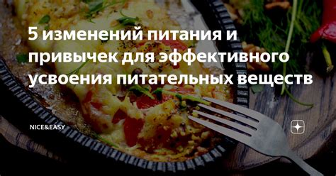 Секреты эффективного распределения питательных веществ