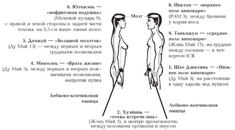 Сексуальный облик и передача энергии
