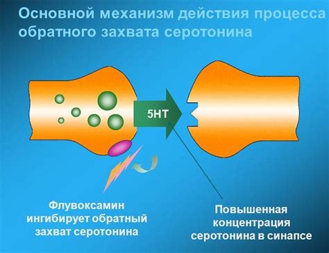 Селективные серотониновые реабсорбционные ингибиторы (ССРИ)