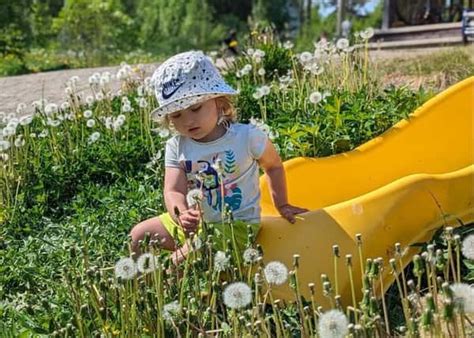 Семейный отдых в Верхошинском: развлечения для детей и взрослых