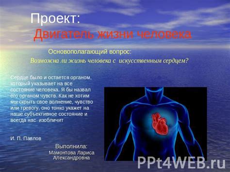 Сердце: двигатель жизни