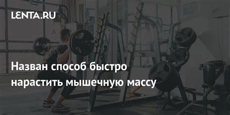 Силовые тренировки: эффективный способ увеличить мышечную массу