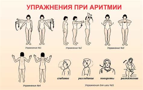 Силовые упражнения для укрепления определенных артикуляций и связанных тканей