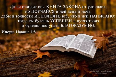 Символическое значение размножения и рождения новой жизни в Библии