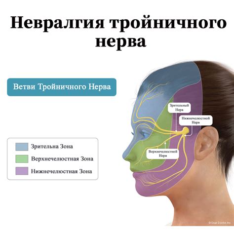 Симптомы, свидетельствующие о поражении тройничного лицевого нерва