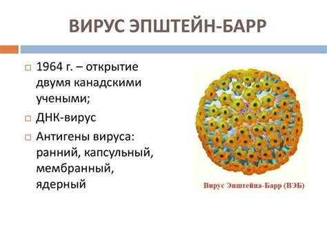 Симптомы вируса Эпштейна-Барра