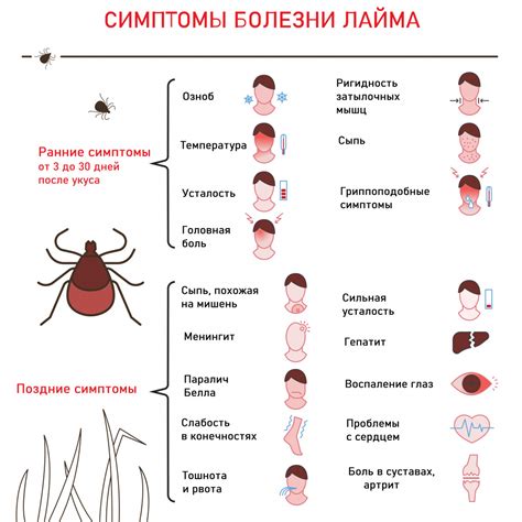 Симптомы и последствия заболеваний, обусловленных дроплетками от клещей