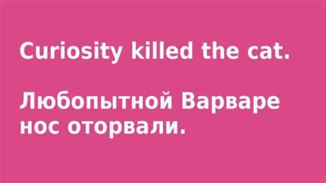 Синонимы и аналоги для выражения "видала" в русском языке