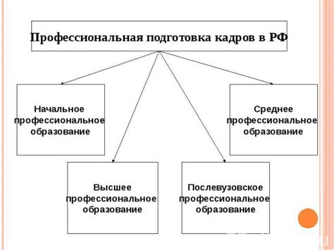 Система профессиональной подготовки судей в Российской Федерации: ключевые этапы и принципы