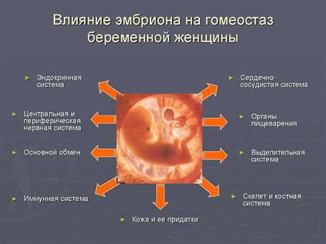 Системные изменения при ВЧГ: что происходит в организме