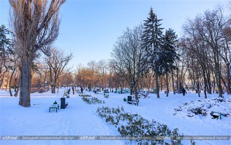 Сквер "Центральный"