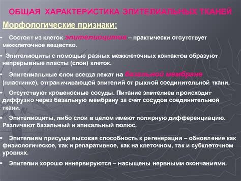 Складки и мягкие ткани: типичные зоны, насыщенные нервными окончаниями