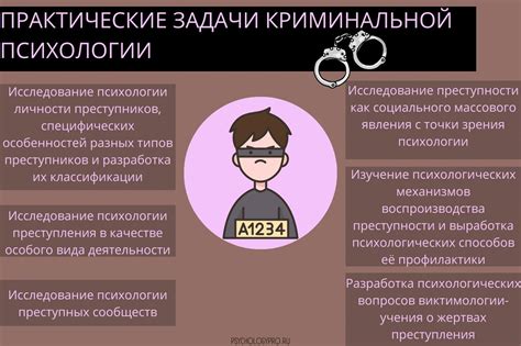 Скрытые методы профессии целителя в криминальной среде