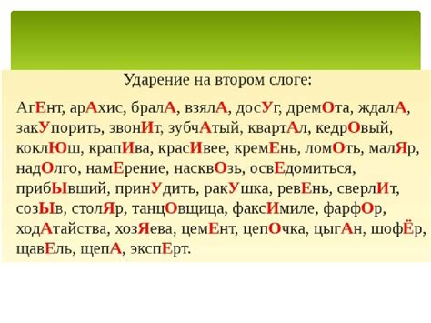 Словарные опоры для определения ударения в термине ирис флора