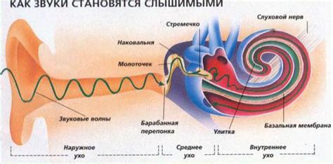 Слуховой анализ: распознавание источника звукового сигнала