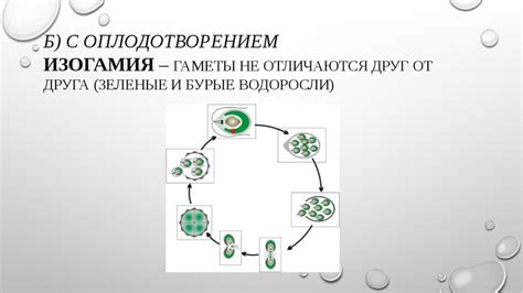 Снижение вероятности размножения микроорганизмов и водорослей