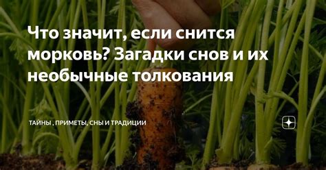 Сны о танцах: их тайны и загадки