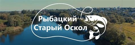 Советы для успешной рыбалки в Старом Осколе: сезоны, приманки и снасти