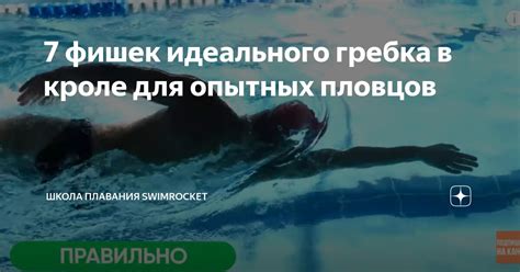 Советы опытных подводных пловцов