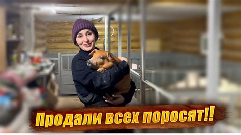 Советы по уходу за перфорированными ушками и предупреждению осложнений