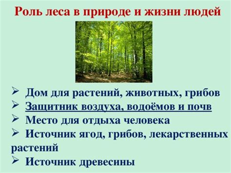 Совместное сосуществование человека и великого потомка леса: перспективы и проблемы