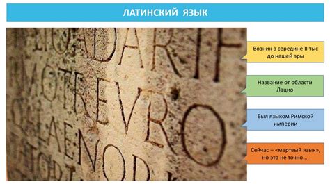 Современное применение латинского языка: от изречений и фраз до названий и символов.
