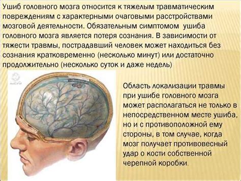 Современные методы диагностики травматического повреждения головного мозга