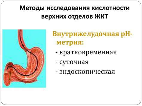 Современные методы исследования кишечника