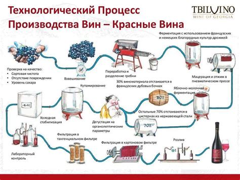 Современные направления в процессе изготовления вина и выборе сортов винограда