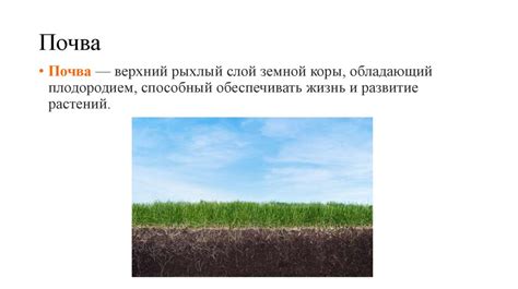 Современные подходы к сохранению и улучшению плодородия почв на полуострове Камчатке