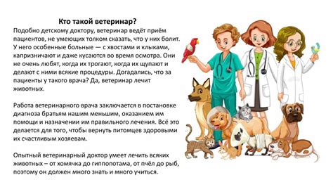 Современные требования к профессии ветеринара: необходимые знания и компетенции