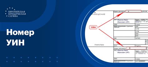 Содержание УИН в квитанции государственной пошлины: ключевая информация и ее значение