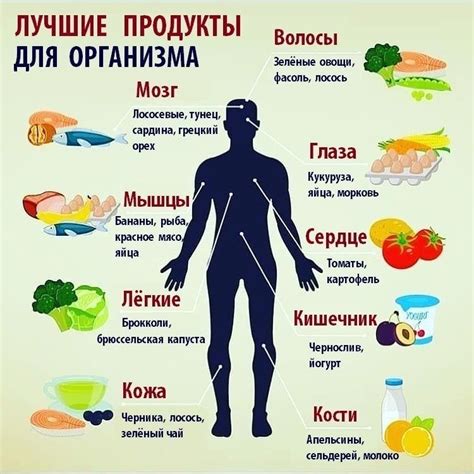 Содержание полезных веществ в натуральном органическом масле