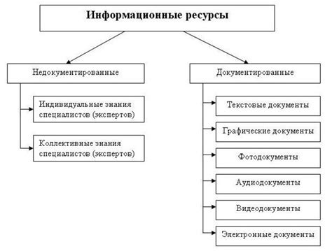 Содержательные элементы информационных ресурсов: основа знаний и информация об обществе