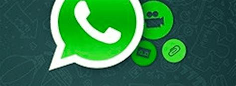 Содержимое папки WhatsApp: откройте мир обмена сообщениями