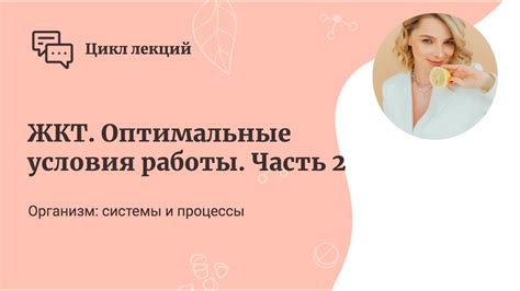 Создайте оптимальные условия для успешной работы