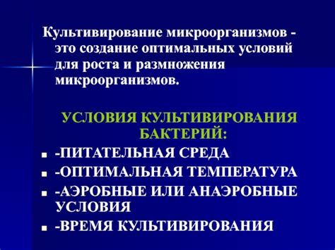 Создание подходящей атмосферы для размножения микроорганизмов