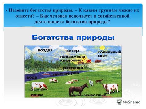 Сокровенные богатства природы: уникальные черты местности и своеобразный климат